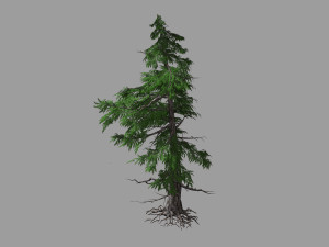 landscape-season-pine tree 04 3D Модель