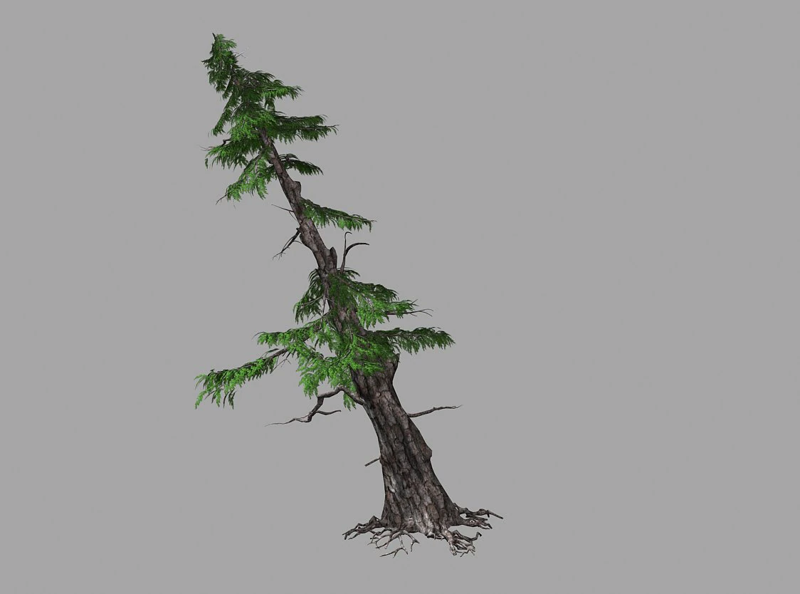 landscape-season-pine tree 05 3D Model .c4d .max .obj .3ds .fbx .stl .blend 