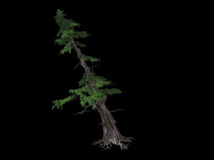 landscape-season-pine tree 05 3D Model