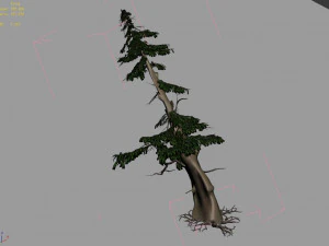landscape-season-pine tree 05 3D Model