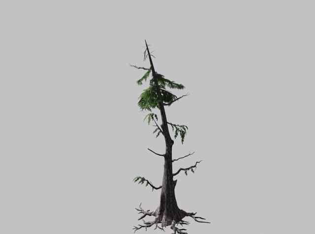landscape-season-pine 06 Modèle 3D .c4d .max .obj .3ds .fbx .stl .blend