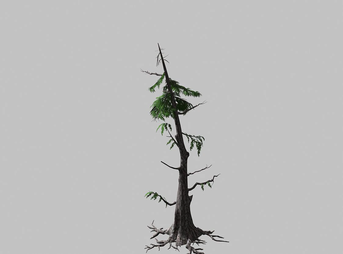 landscape-season-pine 06 3D Model .c4d .max .obj .3ds .fbx .stl .blend 