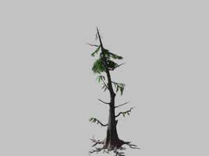 landscape-season-pine 06 Model 3D