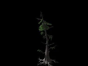landscape-season-pine 06 3D Model