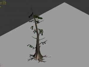 landscape-season-pine 06 3D Model