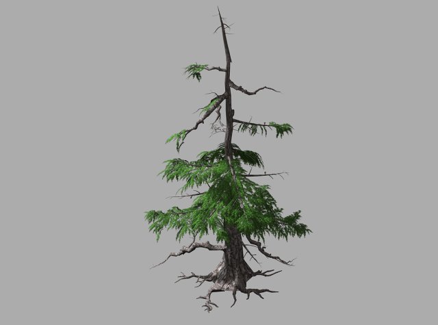 landscape-season-pine tree 07 3D-Modell .c4d .max .obj .3ds .fbx .stl .blend 