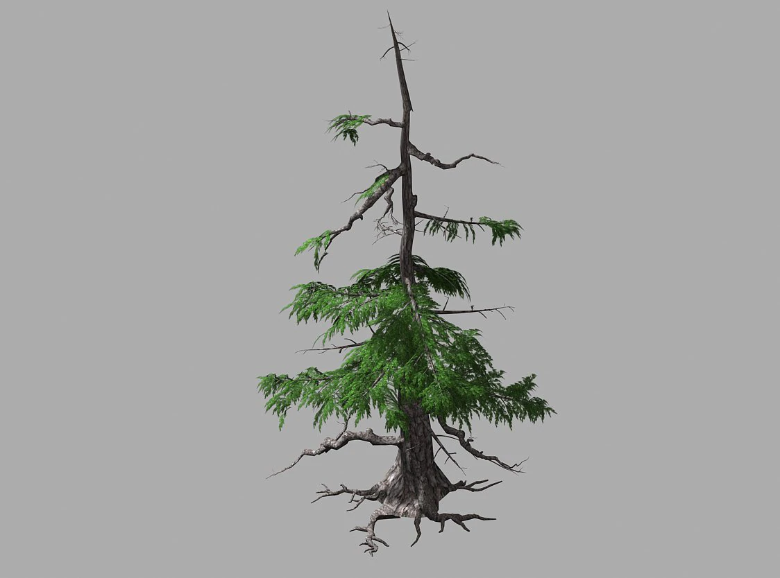 landscape-season-pine tree 07 3D Model .c4d .max .obj .3ds .fbx .stl .blend 