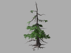 landscape-season-pine tree 07 3D Model