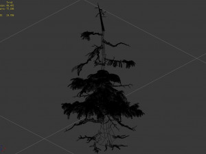 landscape-season-pine tree 07 3D-Modell