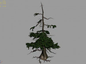 landscape-season-pine tree 07 3D Model