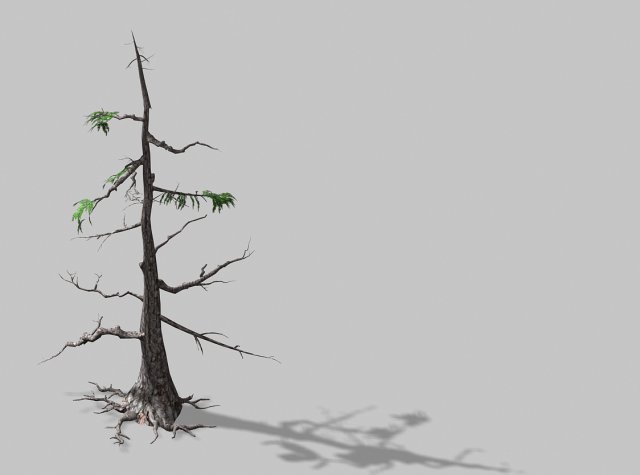 landscape-season-pine tree 08 Modelo 3D .c4d .max .obj .3ds .fbx .stl .blend