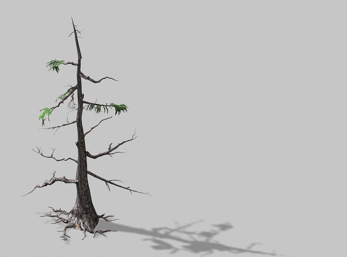 landscape-season-pine tree 08 3D Model .c4d .max .obj .3ds .fbx .stl .blend 