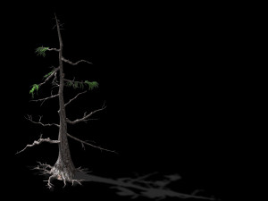 landscape-season-pine tree 08 Modelo 3D