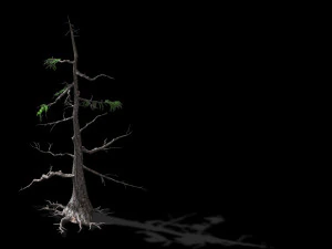 landscape-season-pine tree 08 3D Model