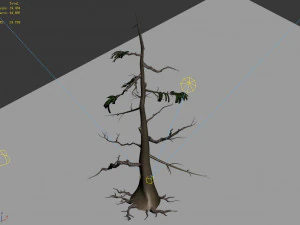 landscape-season-pine tree 08 3D Model