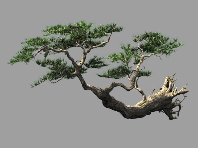 landscape-season-pine tree 09 3D Model .c4d .max .obj .3ds .fbx .stl .blend 