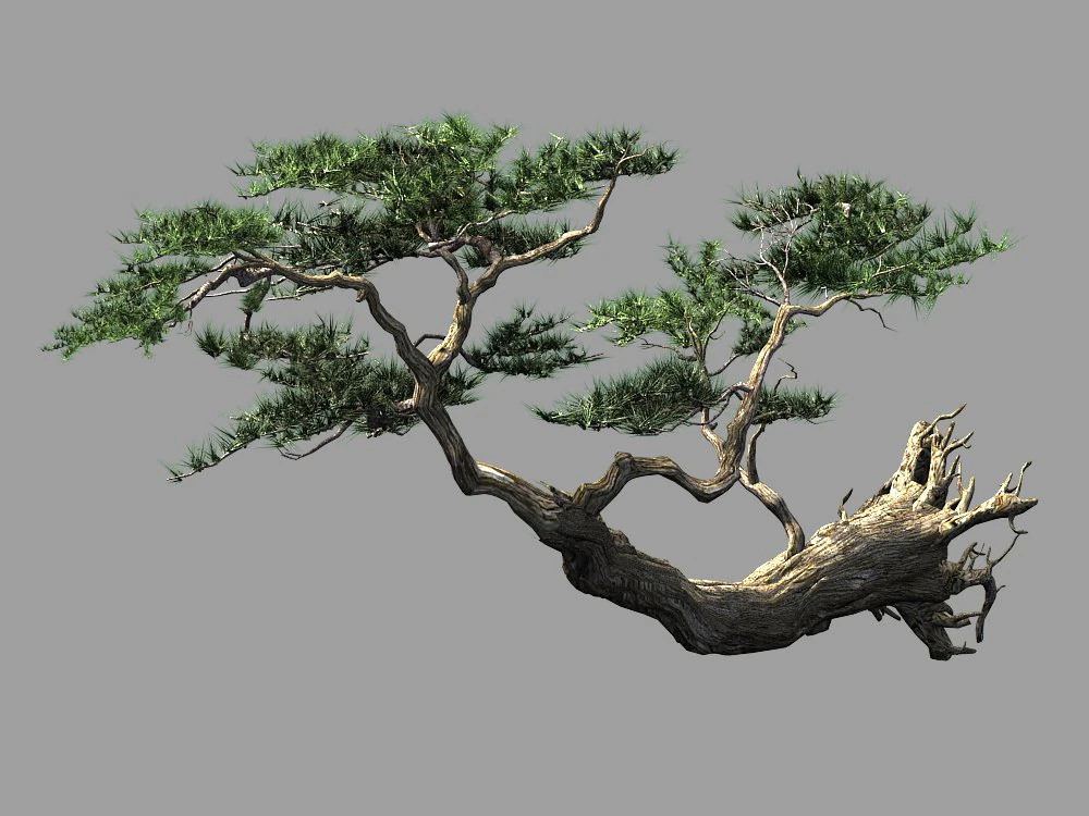 landscape-season-pine tree 09 3D Model .c4d .max .obj .3ds .fbx .stl .blend 