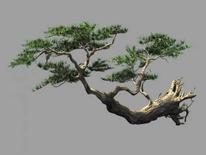 paesaggio-stagione-pino 09 Modello 3D