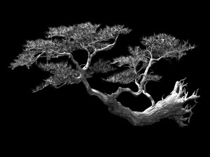 landscape-season-pine tree 09 3D Model