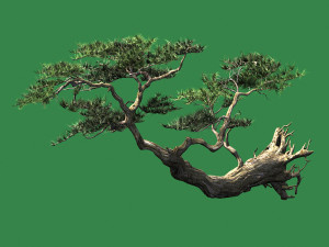 landscape-season-pine tree 09 3D Model
