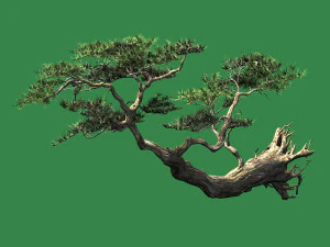 landscape-season-pine tree 09 3D Model