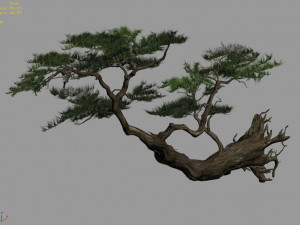 landscape-season-pine tree 09 3D Model