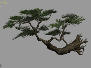 landscape-season-pine tree 09 3D Model