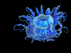 jiuyou waters-sea flower 01 3Dモデル