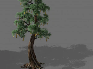 tempio di Confucio-cipresso-albero dei desideri 10 Modello 3D
