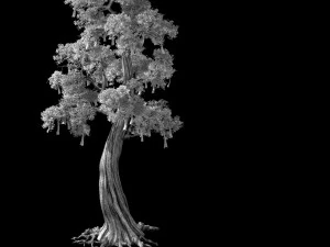 temple of confucius-cypress-wishing tree 10 3D Model