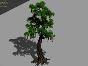 temple of confucius-cypress-wishing tree 10 3D Model