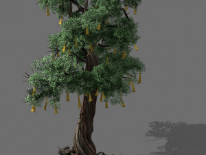 temple of confucius-cypress-wishing tree 14 3D Model