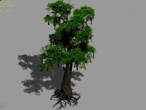 temple of confucius-cypress-wishing tree 14 3D Model