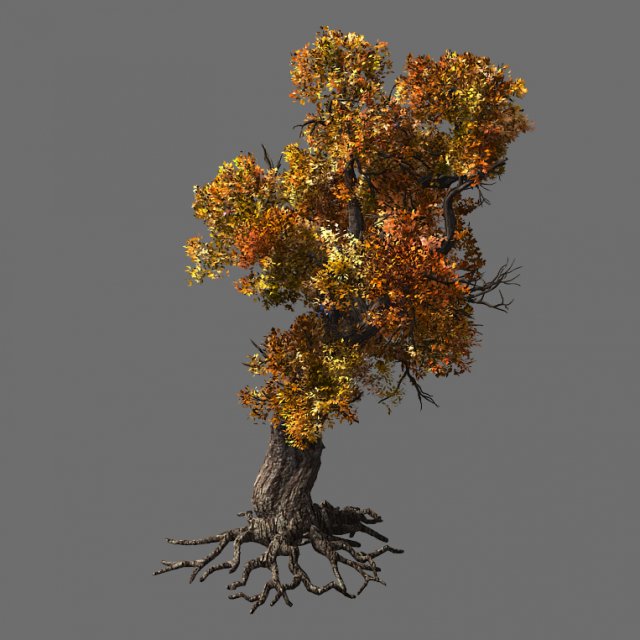 temple of confucius-maple 31 Modèle 3D .c4d .max .obj .3ds .fbx .stl .blend