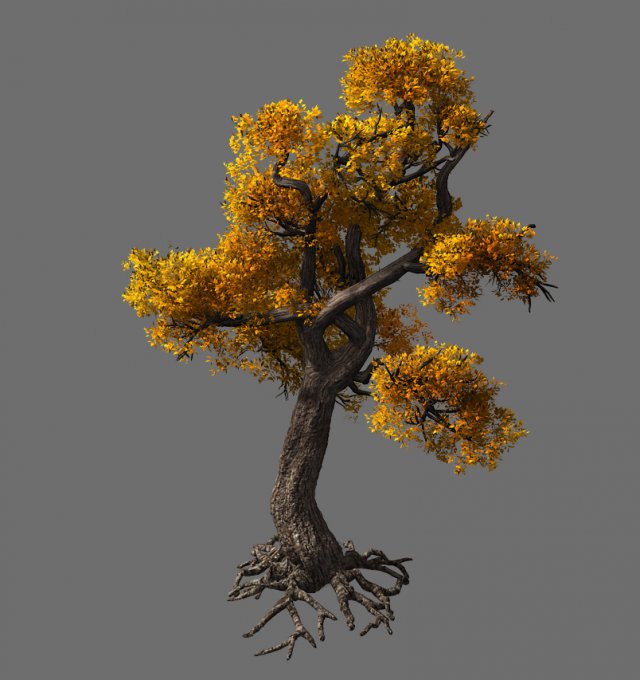 temple of confucius-maple 32 3D मॉडल .c4d .max .obj .3ds .fbx .stl .blend 