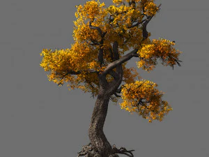 tempio di confucio-acero 32 Modello 3D