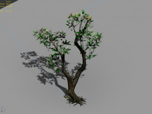 temple of confucius-maple 37 3D Model