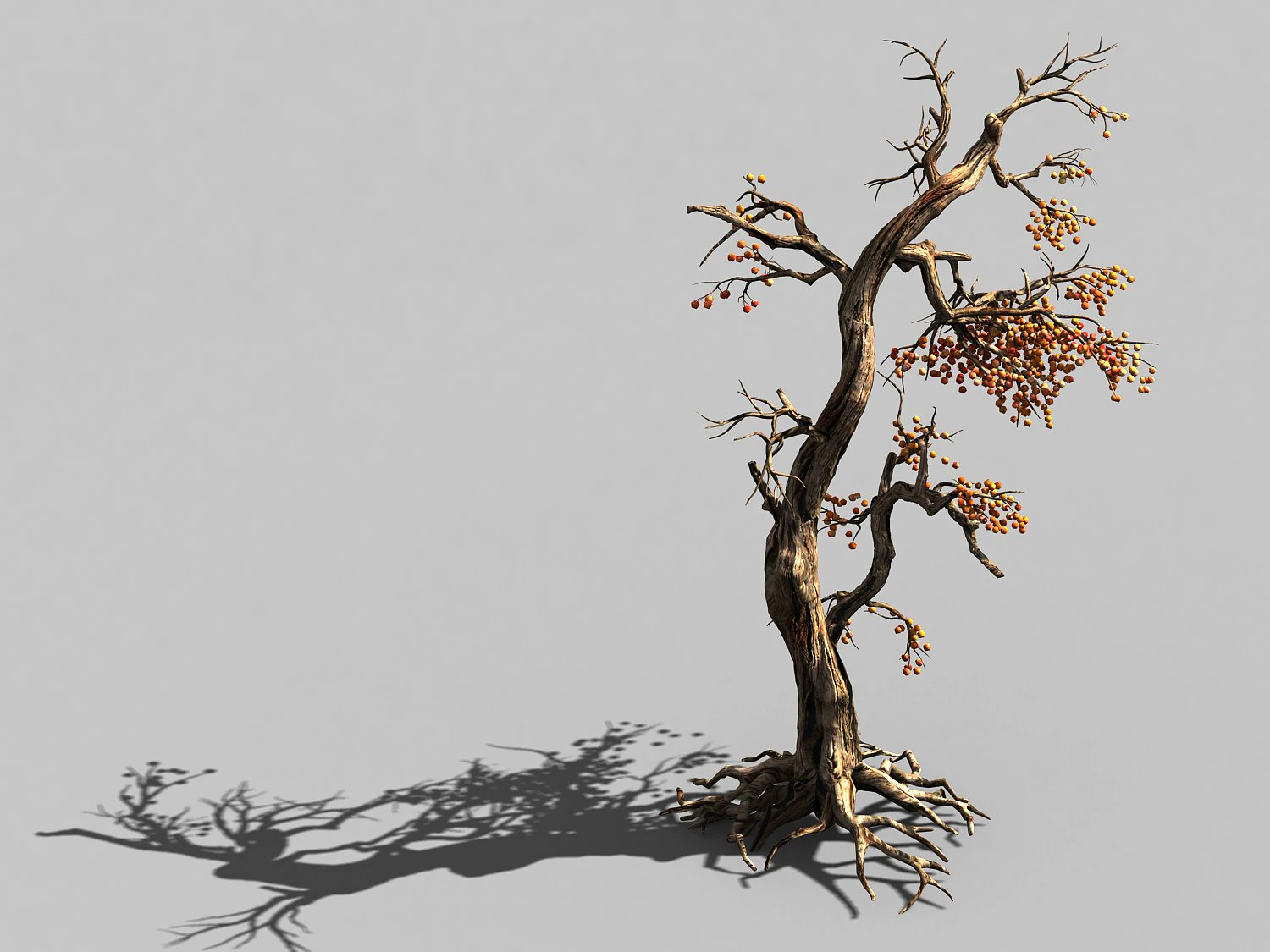 temple of confucius-dead tree 11 3D Model .c4d .max .obj .3ds .fbx .stl .blend 
