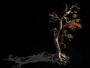 temple of confucius-dead tree 11 Modèle 3D