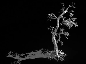 temple of confucius-dead tree 11 3D Model