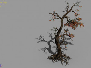temple of confucius-dead tree 11 Modèle 3D