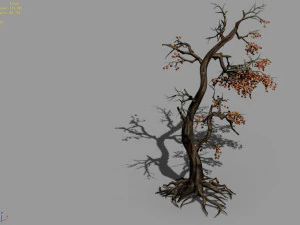 temple of confucius-dead tree 11 3D Model