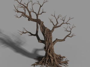 temple of confucius-dead tree 12 3D Model