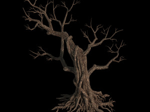 Temple of confucius-dead tree 12 3D Model