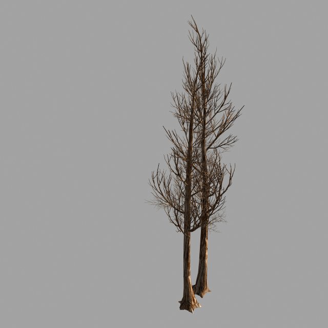 temple of confucius-dead tree 14 3D 모델 .c4d .max .obj .3ds .fbx .stl .blend 