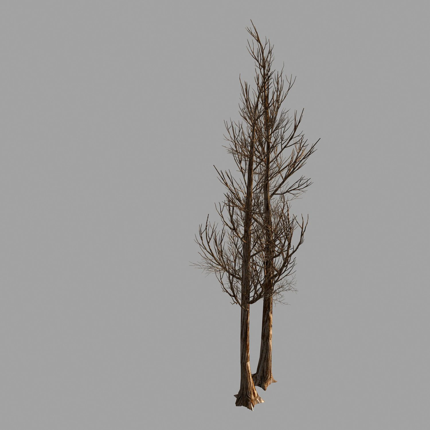 temple of confucius-dead tree 14 3D Model .c4d .max .obj .3ds .fbx .stl .blend