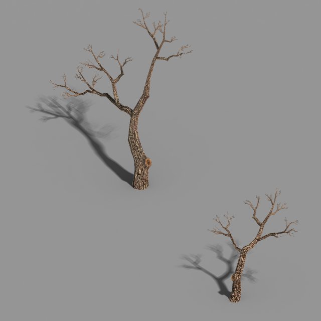 temple of confucius-dead tree 15 3Dモデル .c4d .max .obj .3ds .fbx .stl .blend 