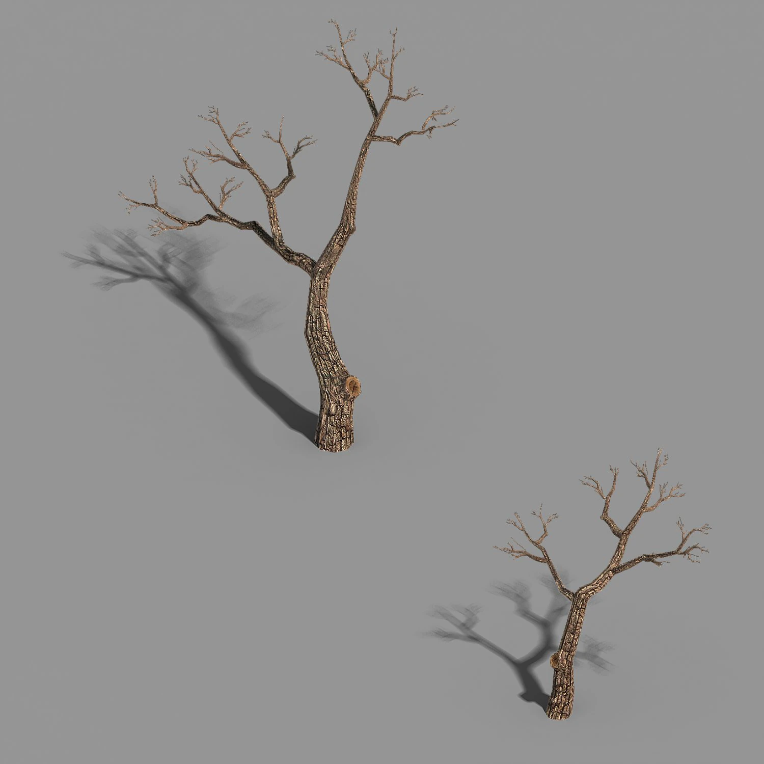 temple of confucius-dead tree 15 3D Model .c4d .max .obj .3ds .fbx .stl .blend