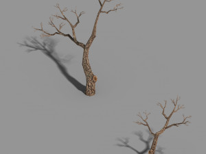 temple of confucius-dead tree 15 3D 모델
