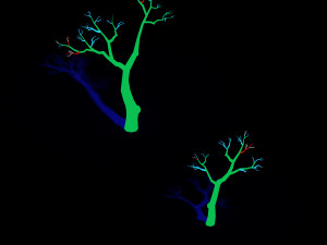 temple of confucius-dead tree 15 3Dモデル